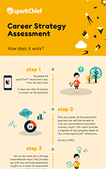 Career Strategy Assessment