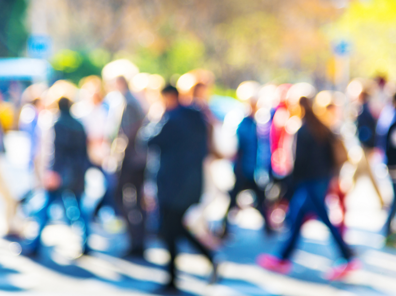 People and Organisation